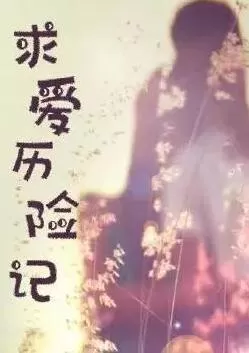 求爱历险记海报