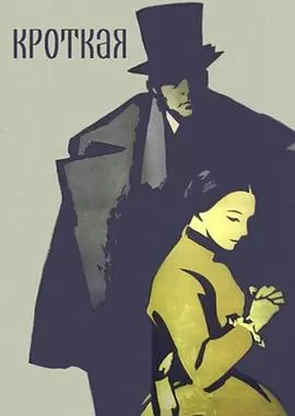 温顺的女人[电影解说]海报