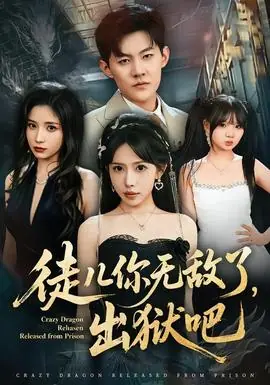 徒儿你无敌了,出狱吧海报