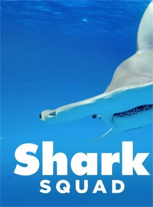 鲨鱼小队第一季海报