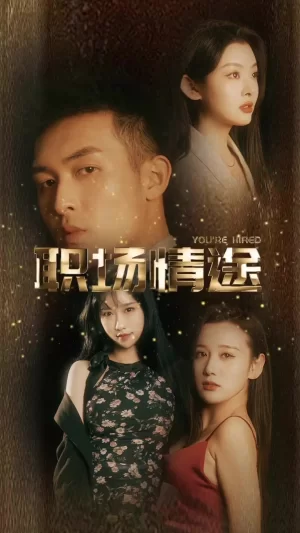 厂区情缘&职场情途海报