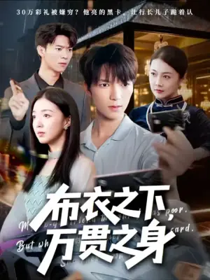 布衣之下万贯之身海报