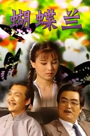蝴蝶兰[电影解说]海报
