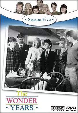 纯真年代第五季海报