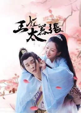 王妃太嚣张海报