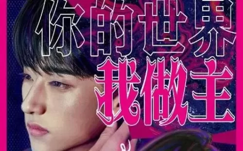 你的世界我做主海报