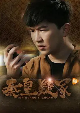 秦皇疑冢海报