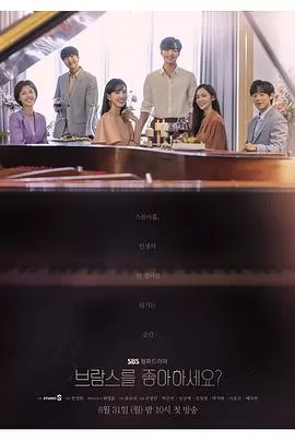 你喜欢勃拉姆斯吗海报