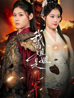 我的姐姐是将军海报