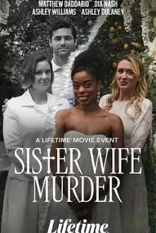 姐妹妻子谋杀案海报