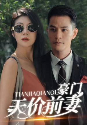 豪门天价前妻海报