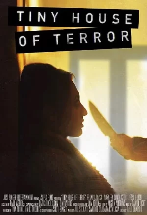 恐怖小屋海报
