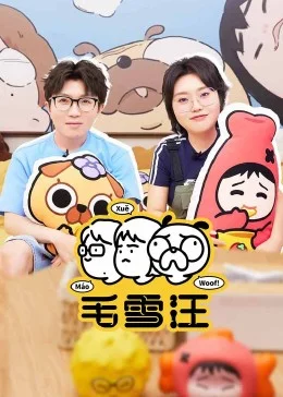 毛雪汪海报
