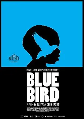青鸟BlueBird海报