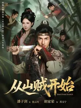从山贼开始海报