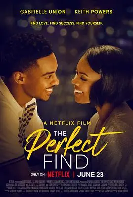 完美爱人生ThePerfectFind海报