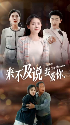 来不及说我爱你海报