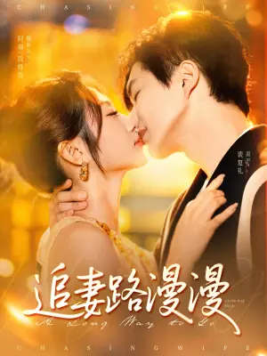 追妻路漫漫海报
