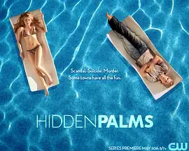 棕榈镇疑云海报