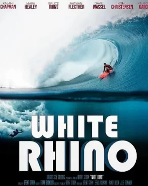 白犀牛海报