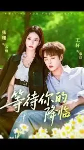 等待你的降临海报