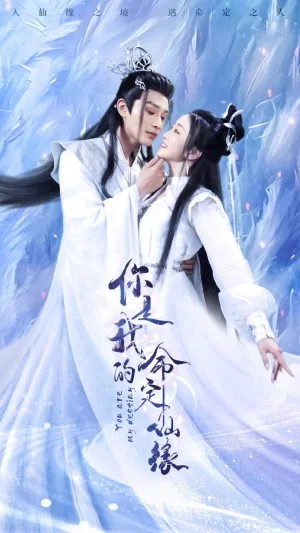 你是我的命定仙缘海报