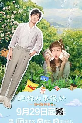 嘿!你大事很妙海报