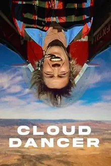 云霄大追杀海报