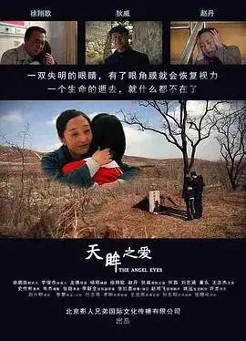天眸之爱海报
