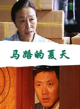 马路的夏天海报