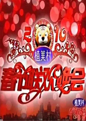2011湖南卫视春节联欢晚会海报