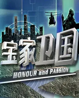 宝家卫国海报
