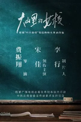 山里的女人海报