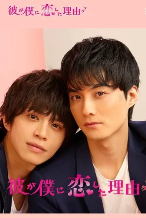 他爱上我的理由第一季海报
