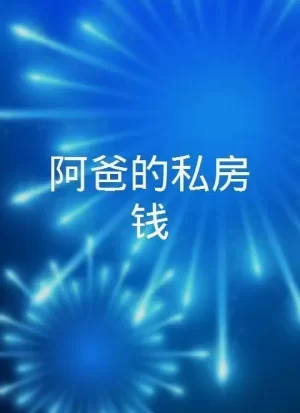 阿爸的私房钱海报
