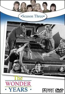 纯真年代第三季海报