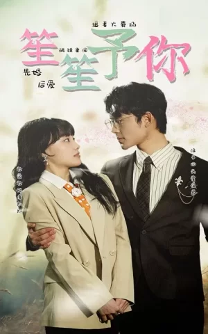 笙笙予你海报