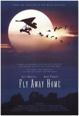伴你高飞FlyAwayHome[电影解说]海报