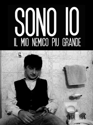 我是我自己最大的敌人海报