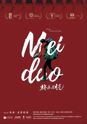 梅朵与月光[影视解说]海报