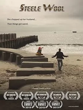 斯蒂尔·伍尔海报