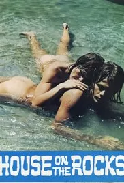 岩石上的房子海报