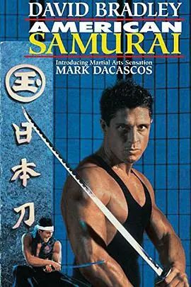 武士奇遇(国语)海报