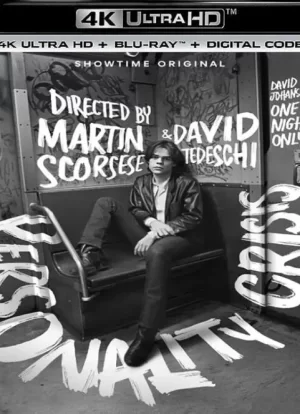 人格危机:仅此一夜海报