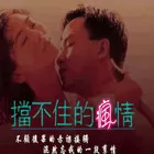 挡不住的风情海报