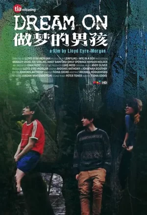 做梦的男孩海报