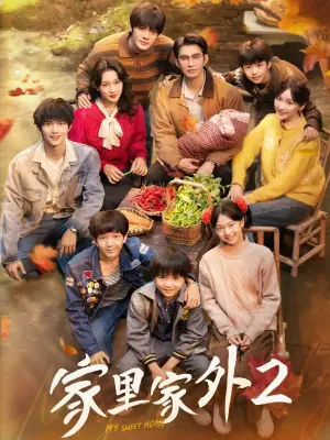 家里家外2海报