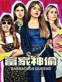 富家神偷第二季海报