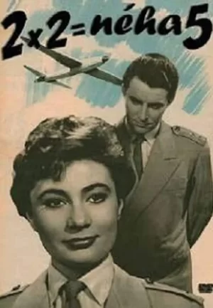 2x2＝5海报