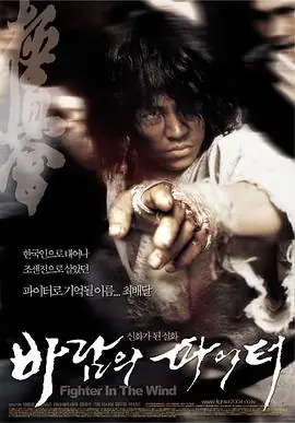 风斗士바람의파이터海报